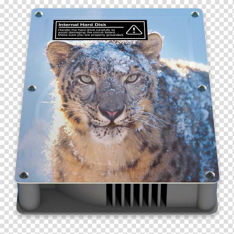 snow leopard boot disk